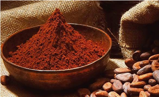 CACAO AMARO IN POLVERE OLANDESE