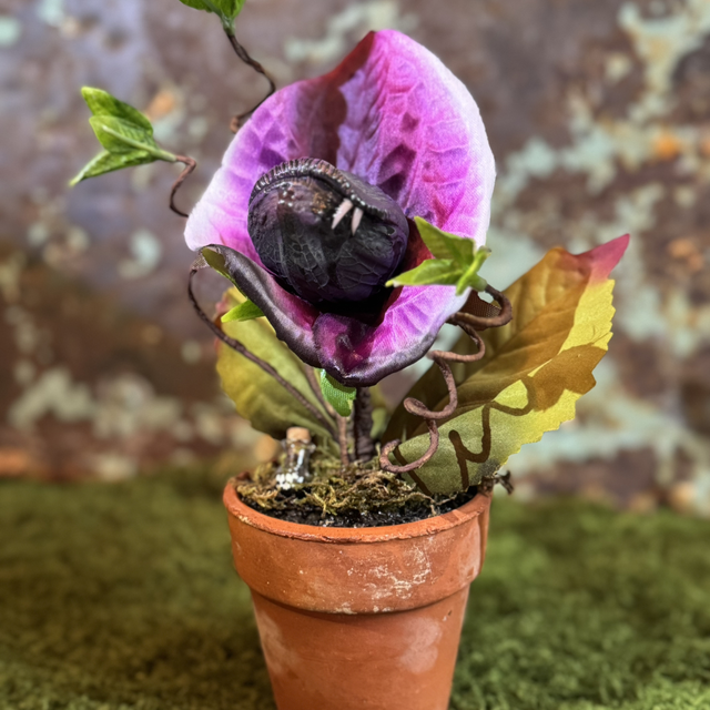 11.🌱 Specimen Name: The Widow’s Whisper
