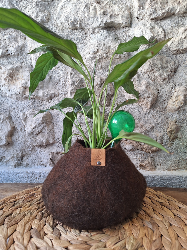 Pot fleuri - collection de deux