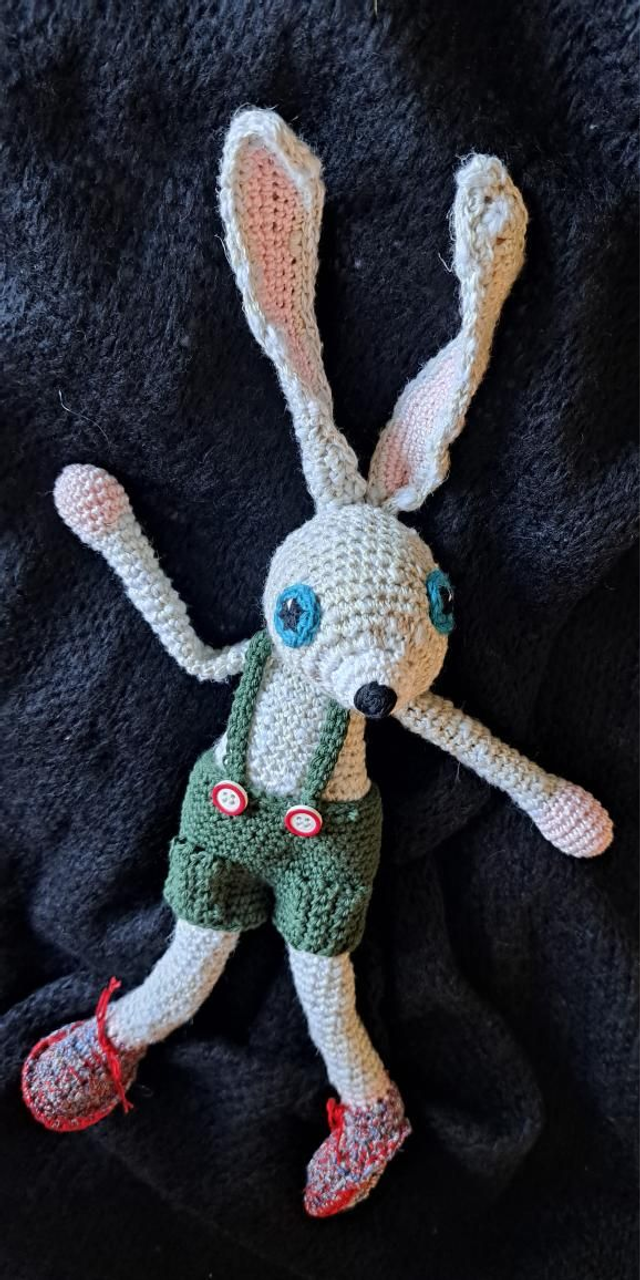 Banjo le lièvre 🐇🐰