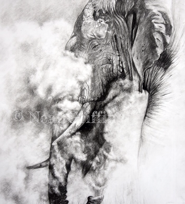 ‘Bull Elephant Dust Bathing’ Giclee print