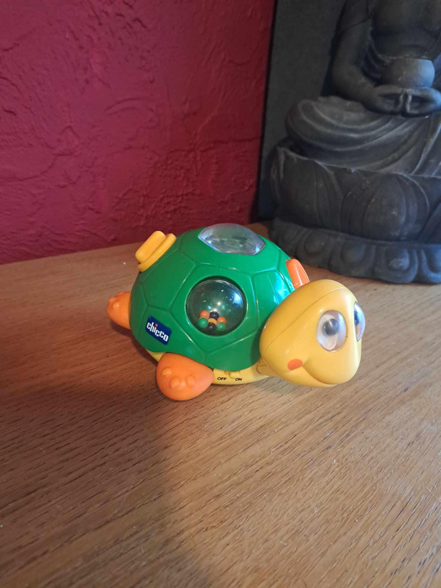 Til la tortue