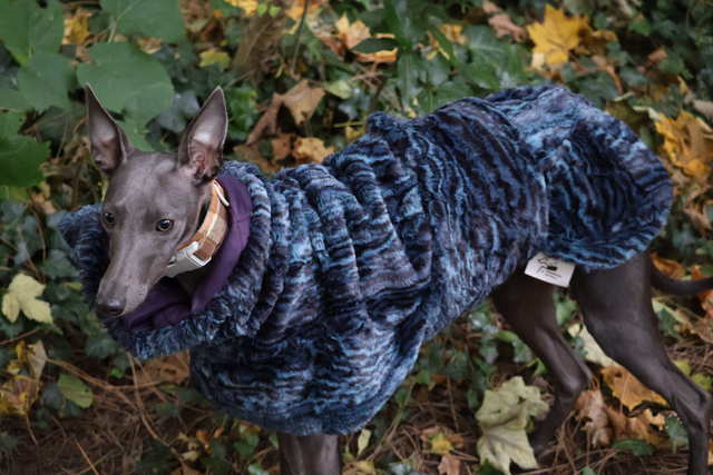Fur Coat