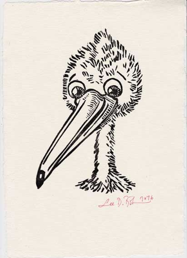 Linolschnitt "Schlauer Pelikan" / Linocut "Smart Pelican"