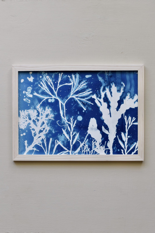 Algae - Vita aquatica 2.2 - A4