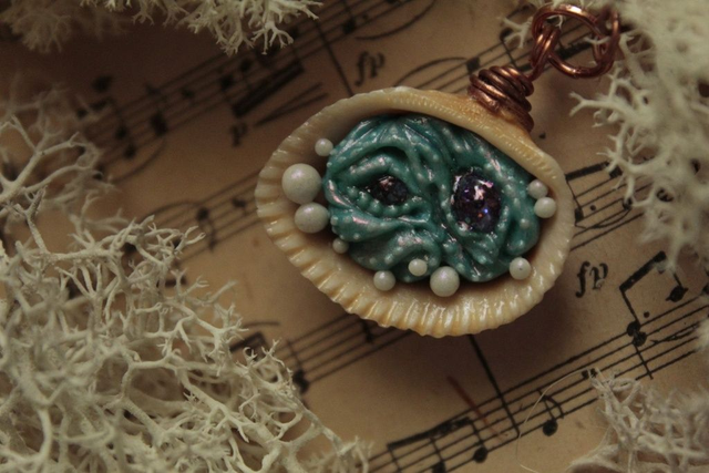 Coquillage Métamorphe- n°6