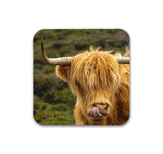 Pick Me A Winner, Isle of Skye