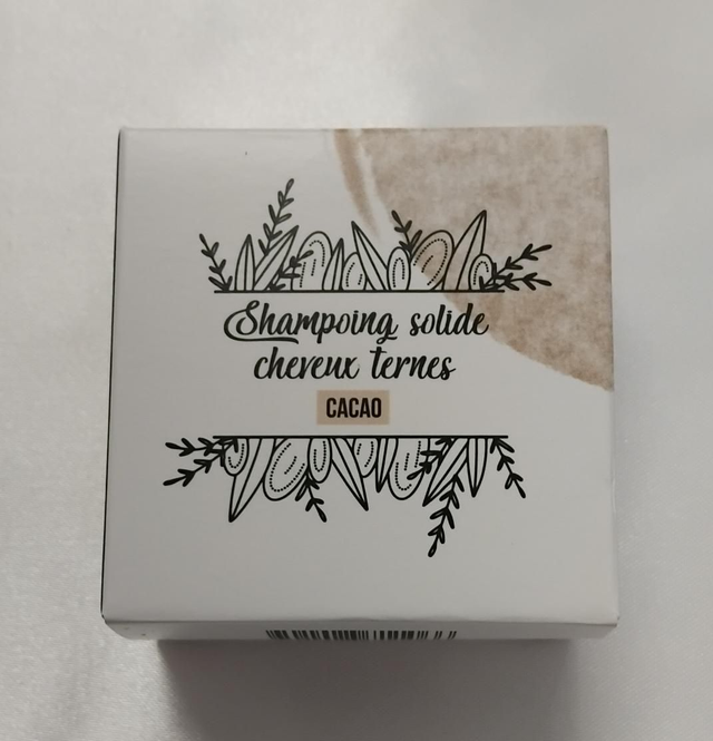 Shampoing solide cheveux ternes