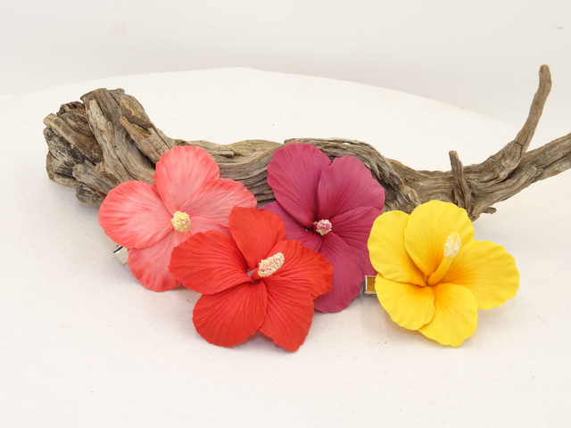 Horquilla de Hibisco