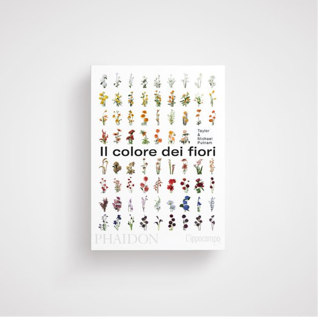 Il Colore dei Fiori