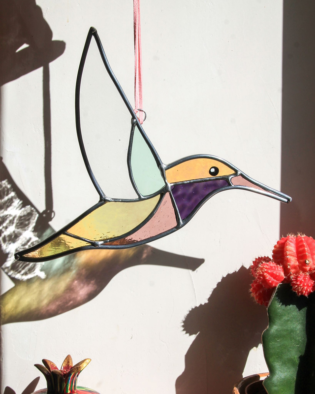 Le colibri de Patagonie 