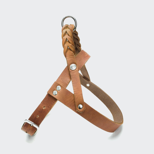 Cloud 7 Central Park Camel Silver