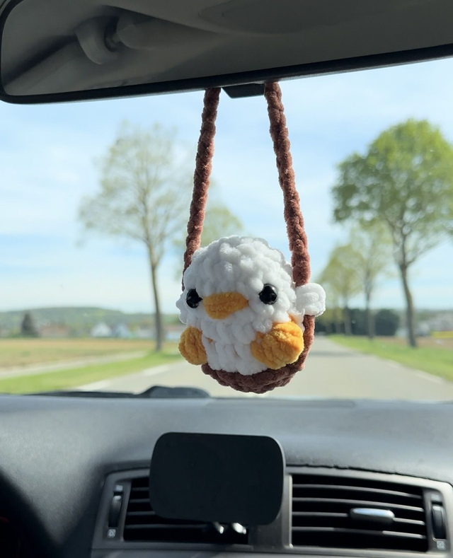 Le canard de rétroviseur