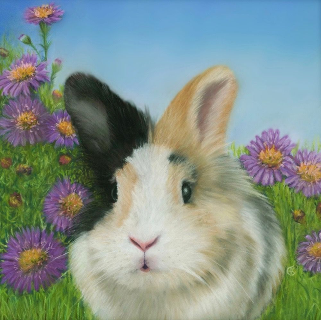 Greeting Card 'DAISY'  (Konijnenparadijs)