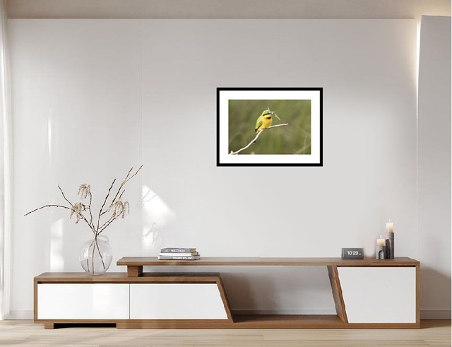 Guêpier d'Afrique - Masaï Mara - Kenya : Réf: K-0577