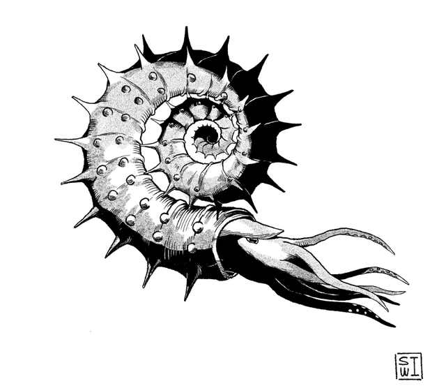 Ammonite Art Print
