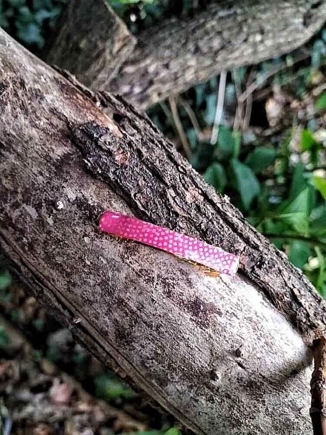 Petite Barrette en Papier Japonais – Élégance et Lumière 