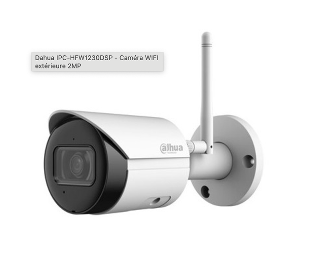 Caméra IP wifi avec carte sd
