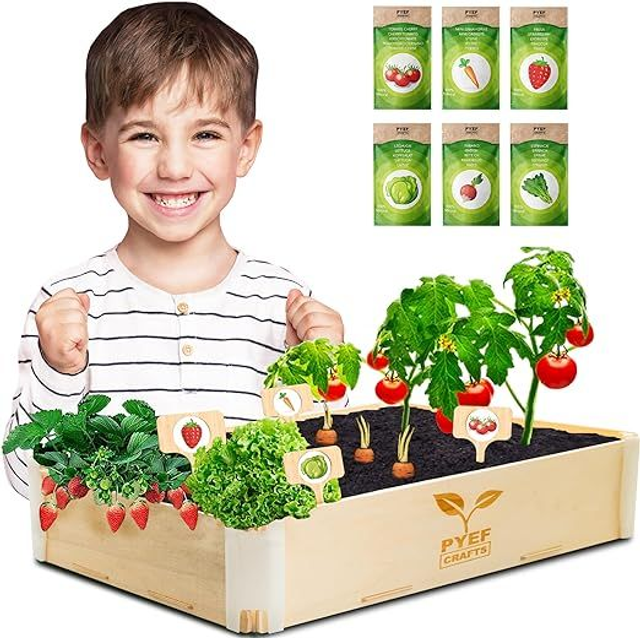 PYEF CRAFTS Kit Huerto Urbano Niños Kit Mini Huerto en Casa