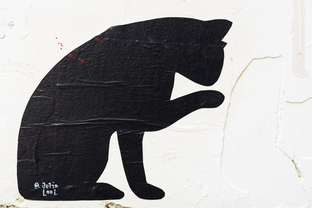 Katze