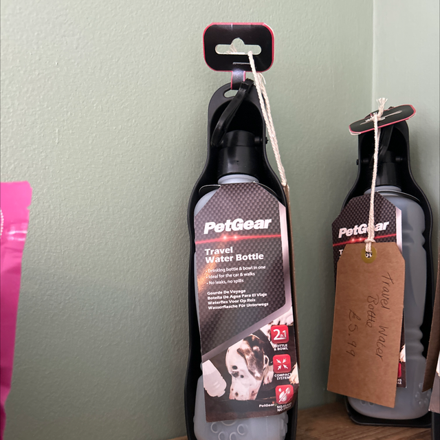 Travel water bottle 