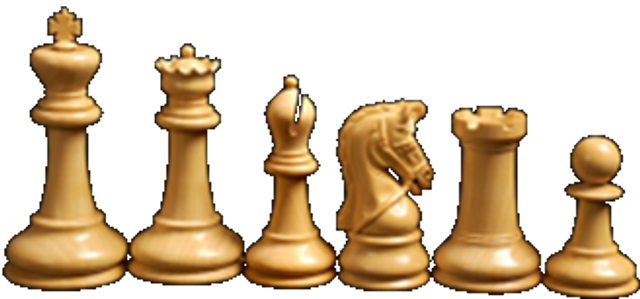 _Inscription Adulte - BLITZ ARSENAL - 9 février 2026