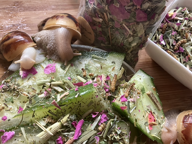 Rose Petal & Meadow Protein Fresh Food Topper