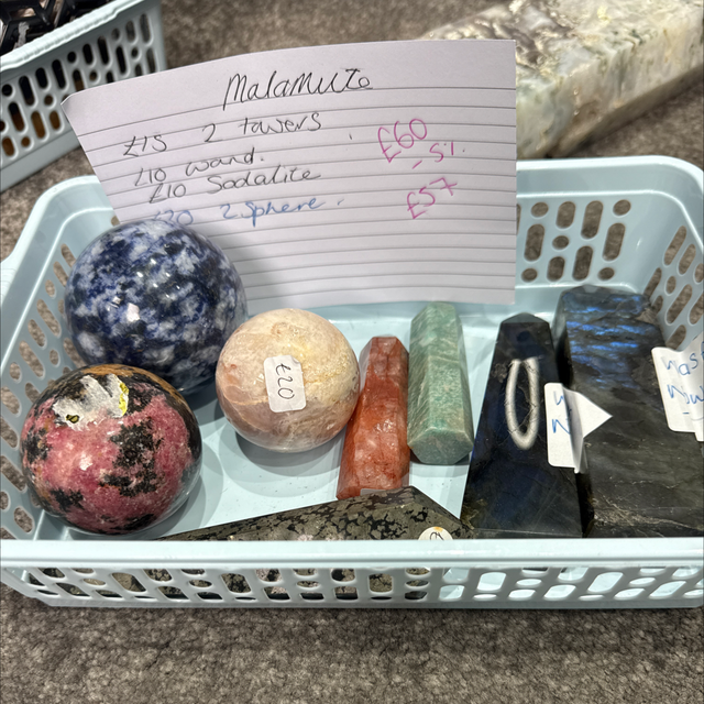 Malamutes live claims