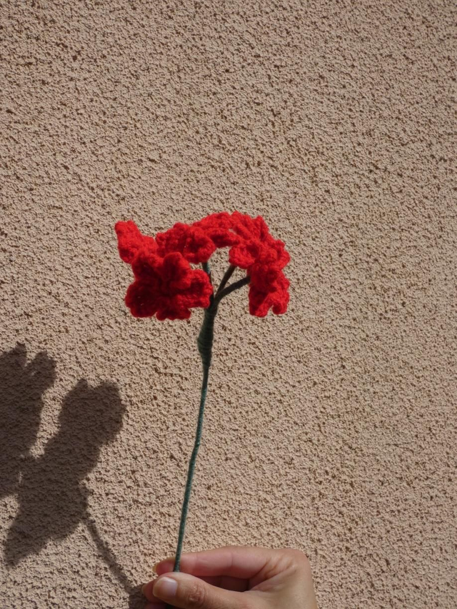 Pompon de sakura rouge