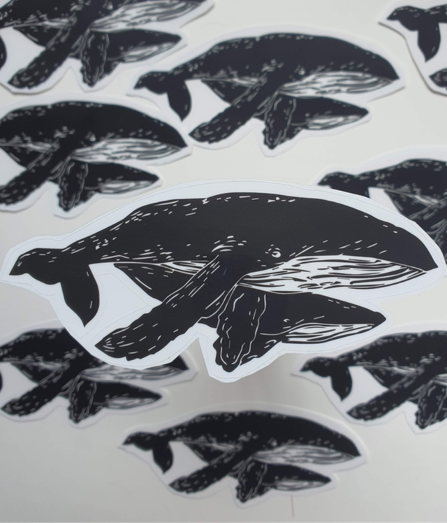Clear Humpback Whale Sticker
