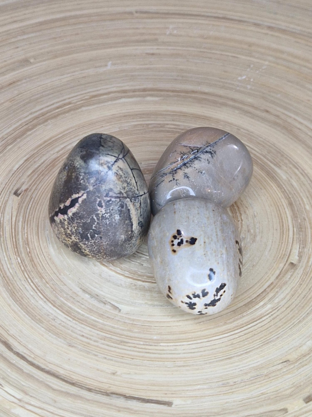 Bois pétrifié - Pierre roulée