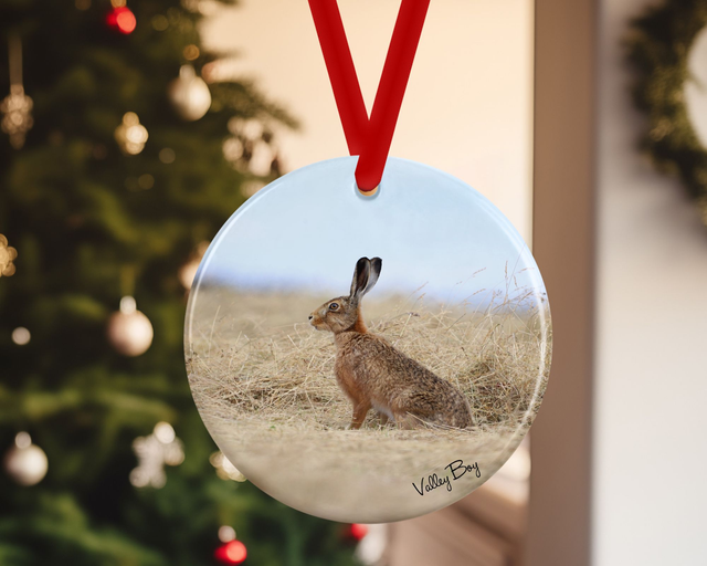 "Henry Hare" Ceramic Christmas Decoration   
