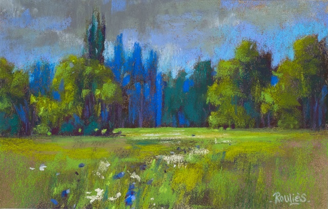 Pré en herbe au printemps