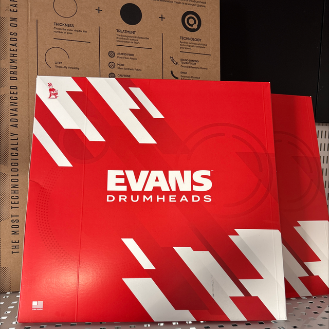 EVANS - Snare side 300, 14" sejarskinn I S14H30