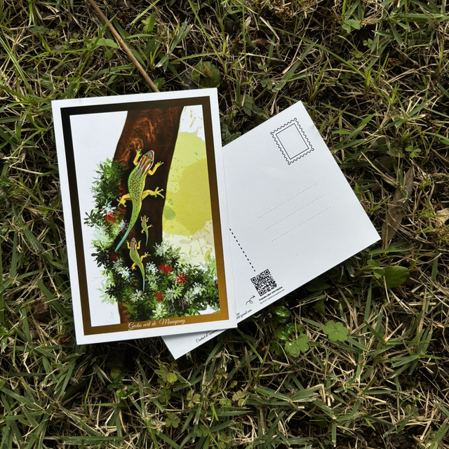 Carte postale - Gecko de Manapany