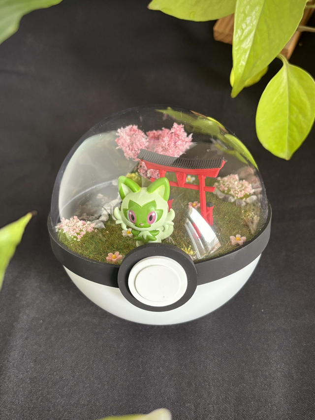 🌸 Terrarium Pokémon - Édition Japon -  Poussacha