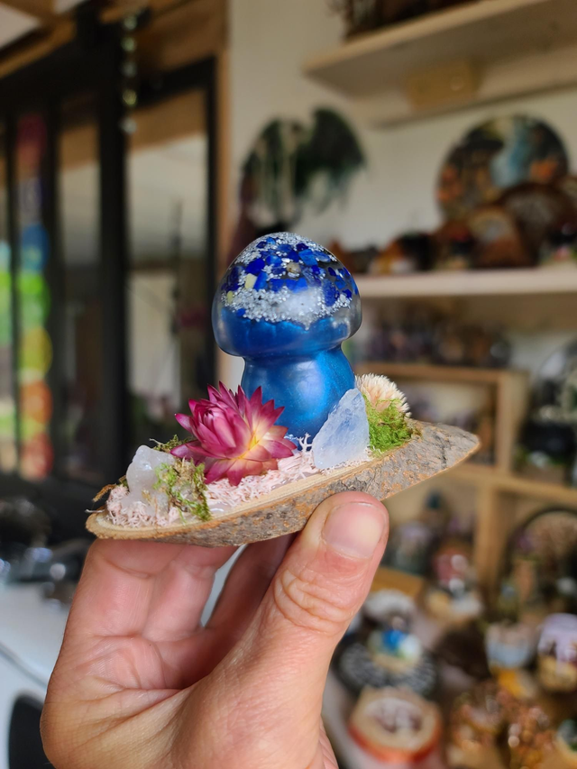 Mini champignon 🍄 N°7