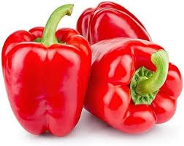 Red capsicum bell pepper
