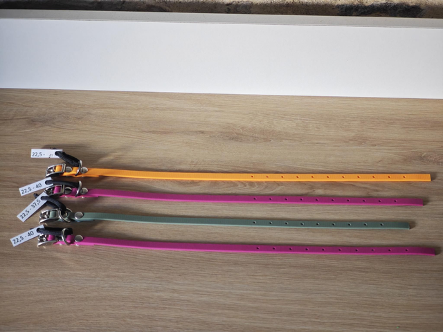 Collier biothane chiot ou petit chien pour la médaille d&#039;identification 🏅