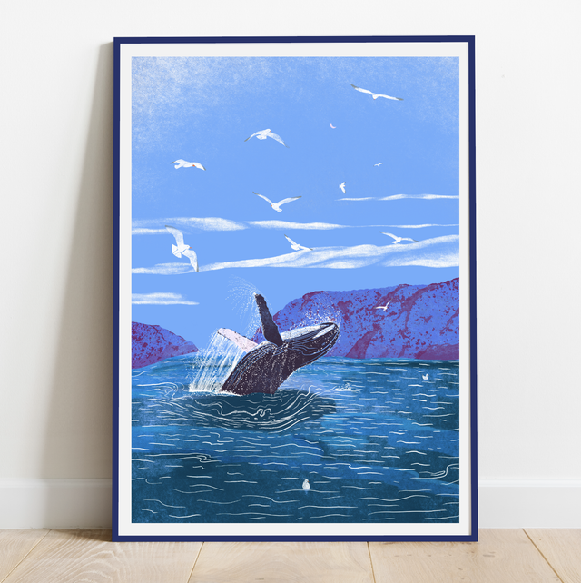 Whale watching 