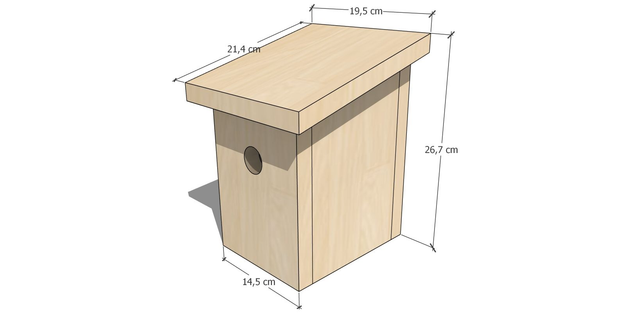 Nichoir à mésange 🐦