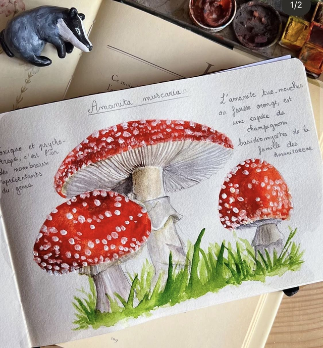 Impression « Champignons Amanita » Format A5