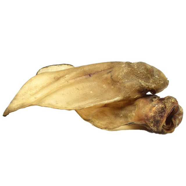 Oreille de bœuf avec cartilage