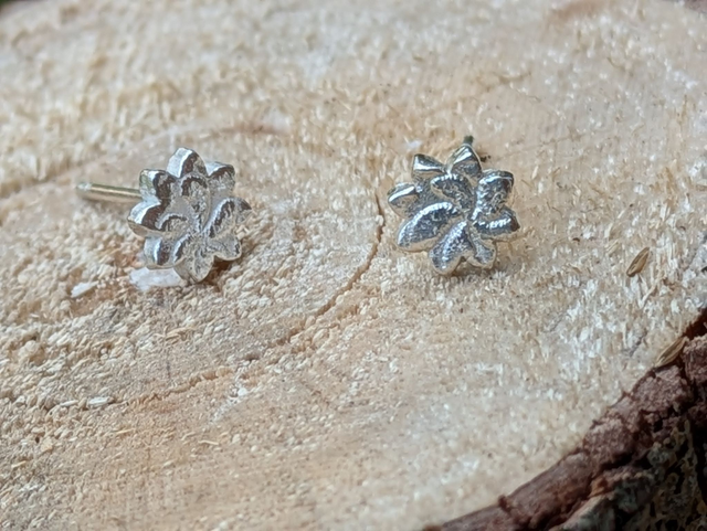 Medium Star Anise Earrings