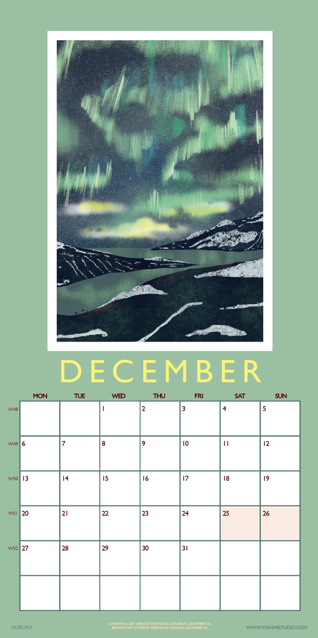 PRE- ORDER 2 in 1 Wall Calendar - 2027 Planner & Perpetual Birthday Calendar