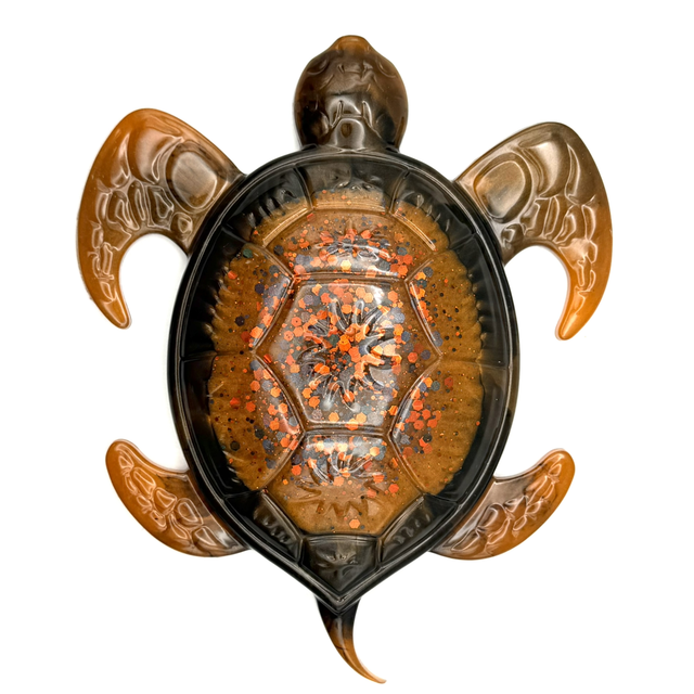 Tortue Néréide Ambrée