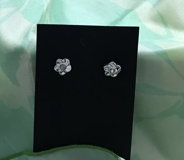 Children-Adult Studs -Clear Stone - CASECS01A