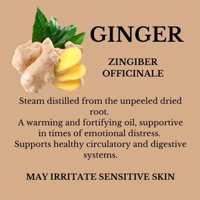 GINGER ESSENTIAL OIL