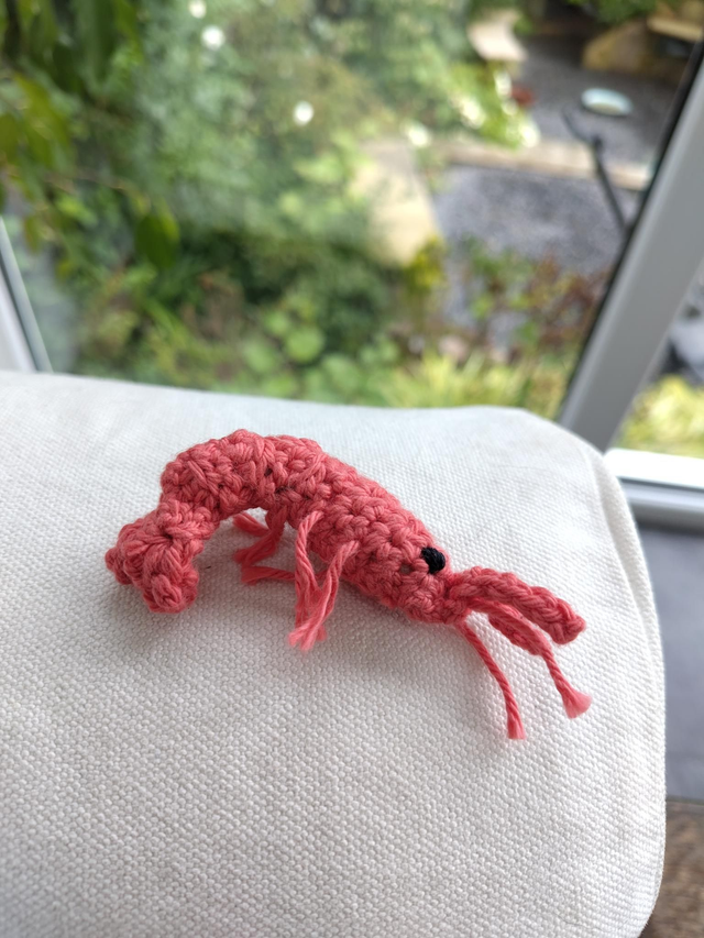 Prawn or Sardine Brooch