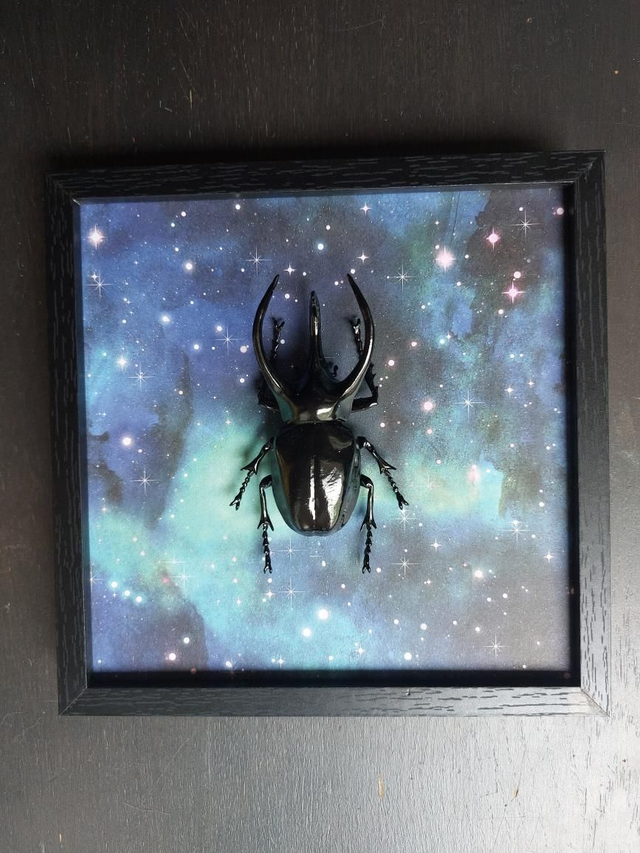 Cadre noir galaxie avec scarabée 